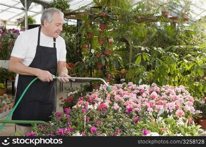 Man watering plants in a garden center