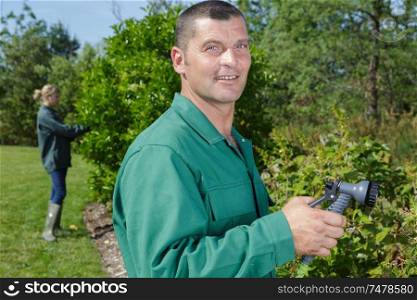 man watering plants with hose