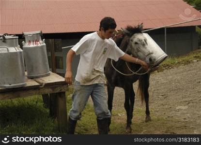 Man with donkey in rural Costa Rica