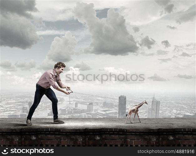Man with giraffe. Young man in casual holding giraffe cub on lead