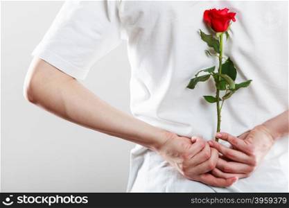 Man with single red rose. Anniversary proposal and engagement idea. Part body man with one red rose behind back. Love concept.