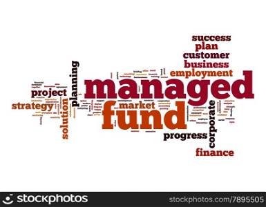 Managed fund word cloud