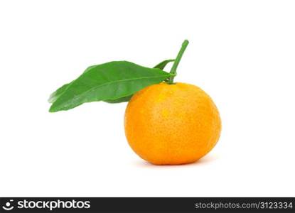 mandarin isolated on a white background