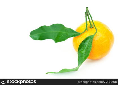 mandarin with green leaves isolated on white