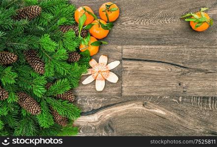 Mandarine fruits and christmas tree branches. Tangerine on wooden background