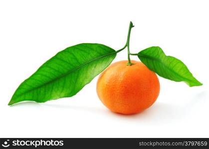 mandarine isolated on a white background