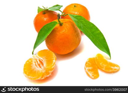 mandarines on a branch on white background