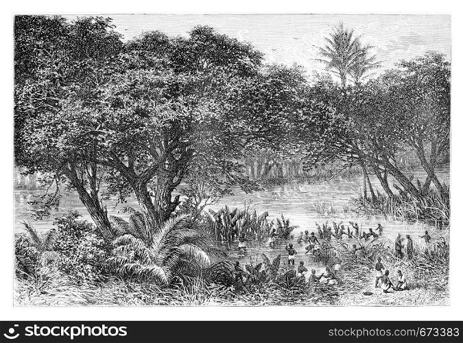 manes Collecting Turtles on the Banks of the Guengo River, in Angola, Southern Africa, drawing by De Bar based on writings, vintage illustration. Le Tour du Monde, Travel Journal, 1881