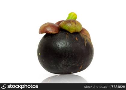 Mangosteen on the white background.