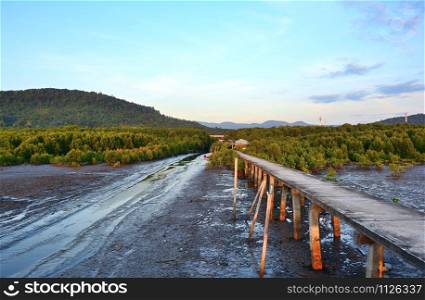 Mangrove forest pathway bridge on mud with mountains and blue sky in the background