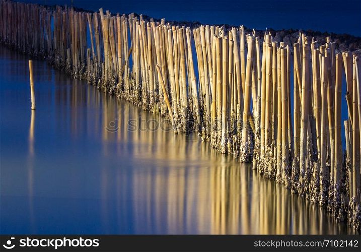 Mangrove forest wave protection line in twilight time at Bang Khun Thian sea, bangkok, thailand, copy space