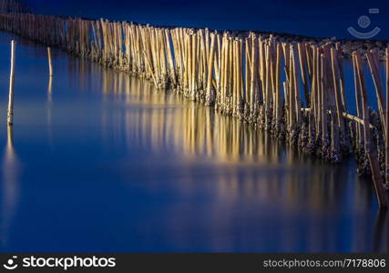 Mangrove forest wave protection line in twilight time at Bang Khun Thian sea, bangkok, thailand, copy space