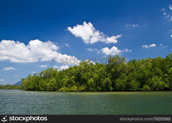 Mangrove landscape in Krabi in Thailand