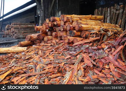 Mangrove tree are used to make the charcoal.