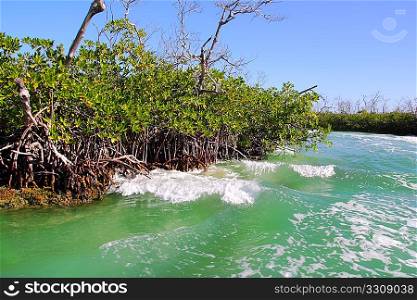 Mangrove waves of boat traffic in Cancun Mexico
