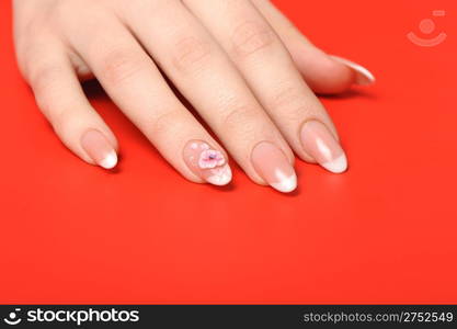 Manicure. Female hands on red background. Well-groomed female hands with a decorative element - a flower