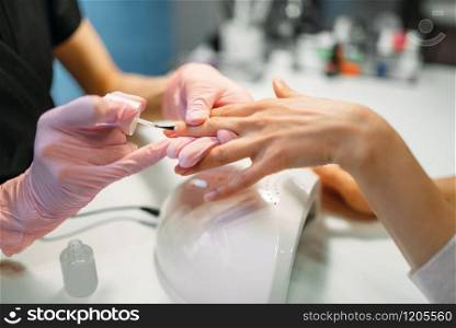 Manicure master in pink gloves applying nail varnish to female client, beauty salon. Manicurist doing fingernail care cosmetic procedure