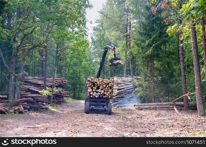 manipulator loader logs, short log truck, timber truck, loading logs in the forest. short log truck, timber truck, loading logs in the forest, manipulator loader logs