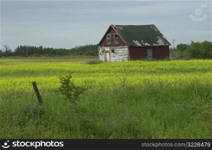 Manitoba Prairie Scenes