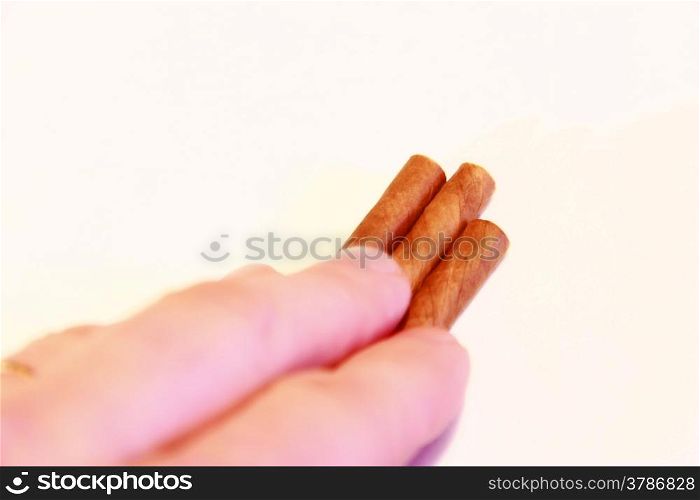 Mans hand hold a natural cigarillo isolated on the white background
