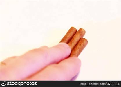 Mans hand hold a natural cigarillo isolated on the white background