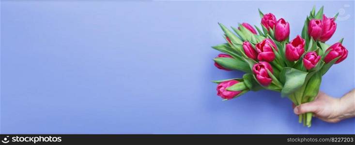 mans hand holding bouquet of fresh flowers tulips on a blue background. banner. mans hand holding bouquet of fresh flowers tulips on blue background. banner