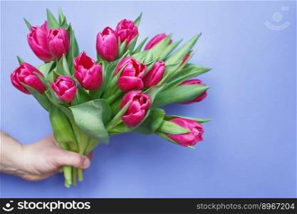 mans hand holding pink bouquet of fresh flowers tulips on a purple blue background. International women’s day, mother’s day, holiday concept.. mans hand holding bouquet of fresh flowers tulips on purple blue background.