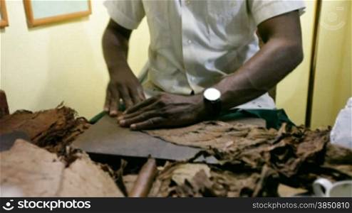 Manufacturing of cigars. Cuba.