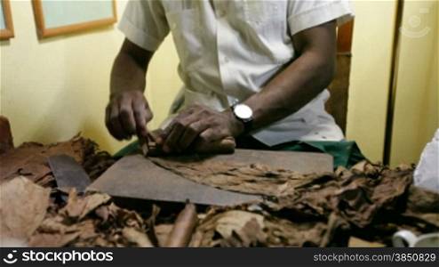 Manufacturing of cigars. Cuba.