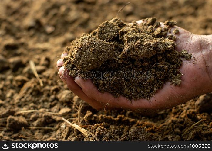 Manure or dung for agriculture.