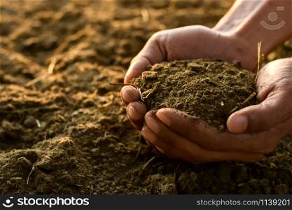 Manure or dung in the hands of a farmer man.