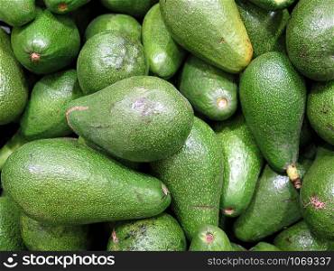 many avocado, delicious tropical fruit