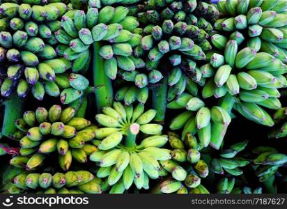 Many bunch of bananas in green bulk in heap on floor outside agriculture product barn for sale, Vietnamese tropical fruit as banana is popular for market