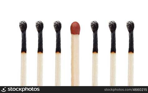 Many burned matches and a match without burning isolated on a white background