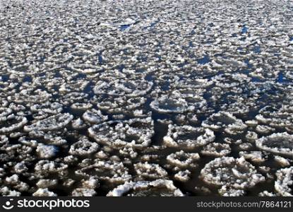 Many circular melting ice floes on lake.