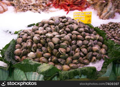 Many clams at a market stall