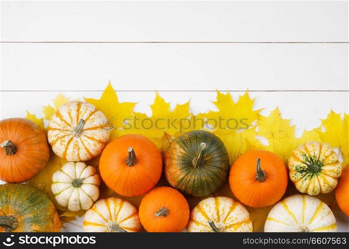 Many colorful pumpkins and maple leaves frame on wooden background , autumn harvest , Halloween or Thanksgiving concept. Pumpkins and maple leaves