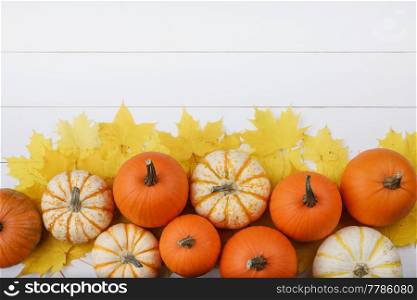 Many colorful pumpkins and maple leaves frame on wooden background, autumn harvest, Halloween or Thanksgiving concept. Pumpkins and maple leaves