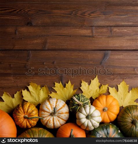 Many colorful pumpkins and maple leaves frame on wooden background with copy space for text , autumn harvest , Halloween or Thanksgiving concept. Pumpkins and maple leaves