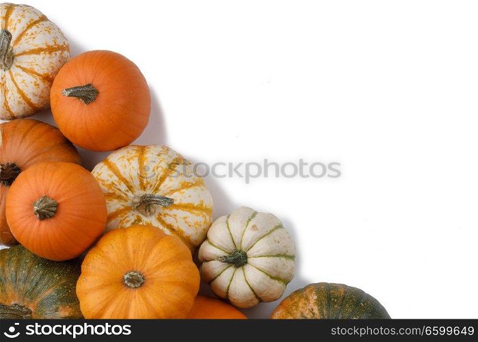 Many colorful pumpkins frame isolated on white background, autumn harvest , Halloween or Thanksgiving concept. Many orange pumpkins