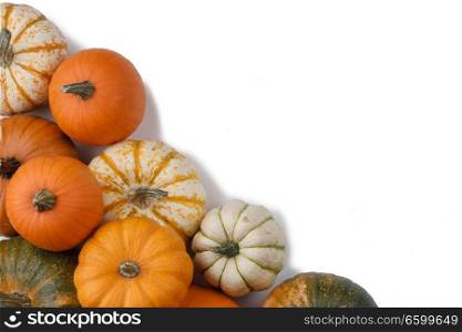 Many colorful pumpkins frame isolated on white background, autumn harvest , Halloween or Thanksgiving concept. Many orange pumpkins