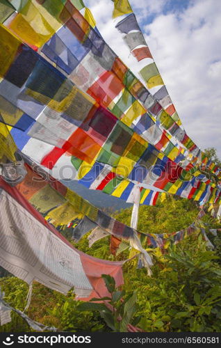 Many colorful waving prayer flags suspended between trees