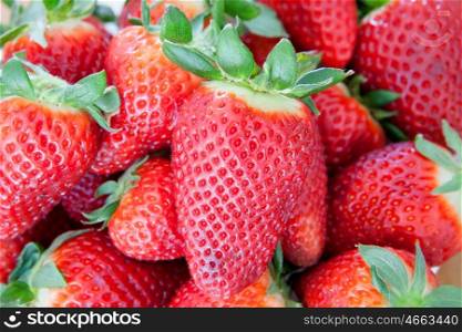 Many delicious red strawberries with green leaves