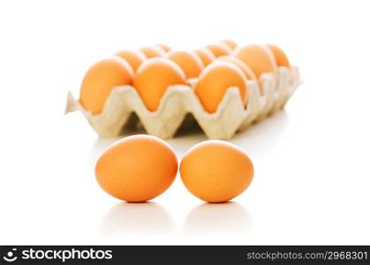 Many eggs isolated on the white background