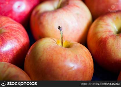 Many fresh natural organic apples candid shot. fresh apple - abstract natural background