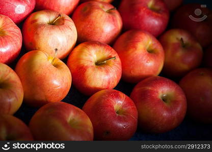 Many fresh natural organic apples candid shot in the evening outdoor sunashine pretty orange color