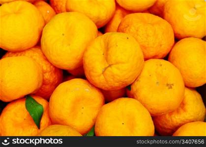 Many fresh orange fruits in piles
