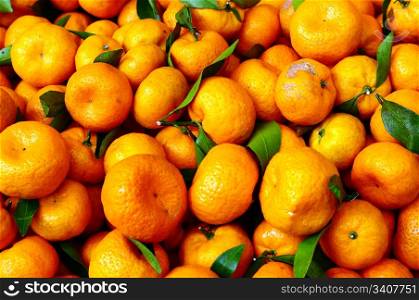 Many fresh orange fruits in piles