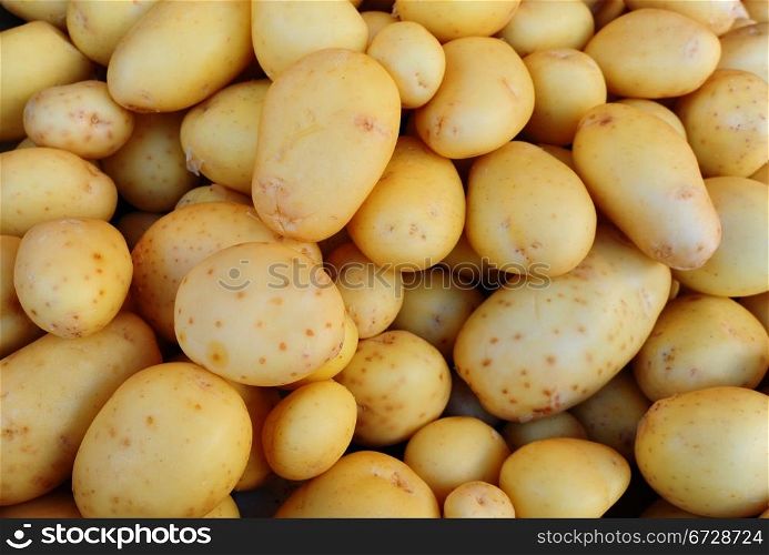 Many Fresh Potatoes Arranged As The Background