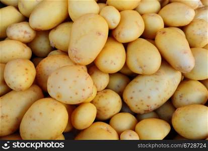 Many Fresh Potatoes Arranged As The Background